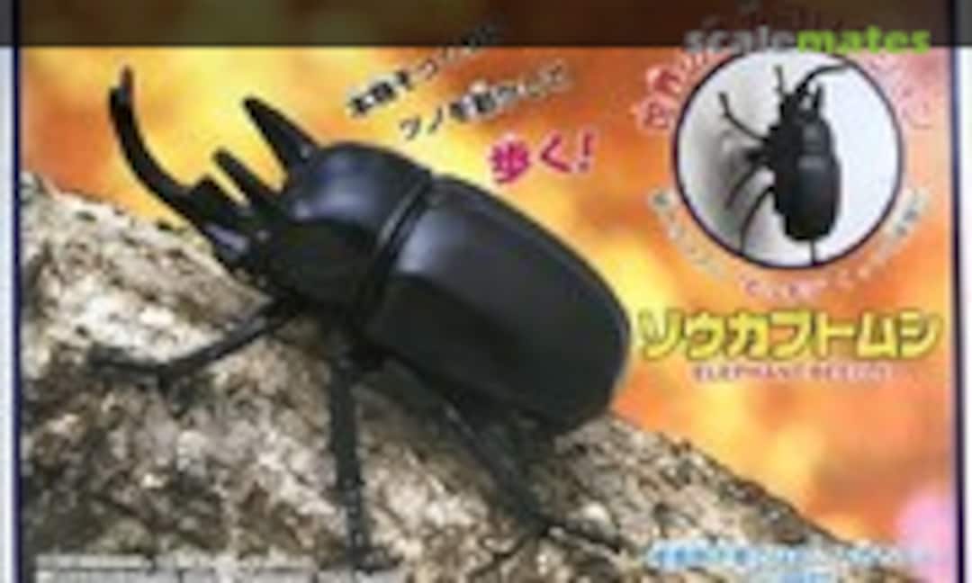 No Elephant Beetle (IMAI B-2558-500)