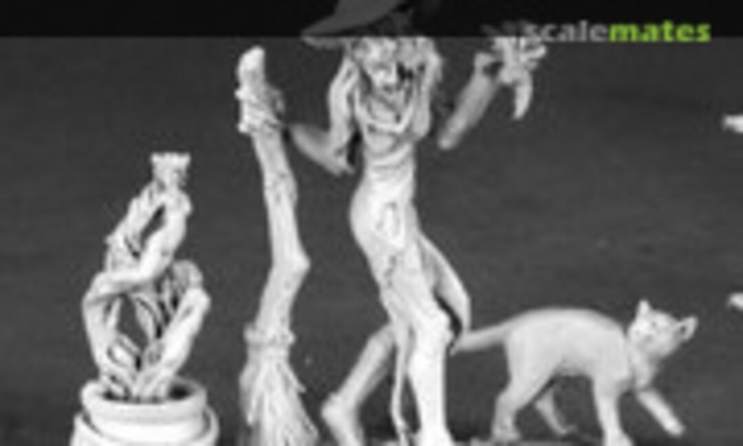 28mm Witch, Cauldron & Cat (Reaper Miniatures 03549) 03549