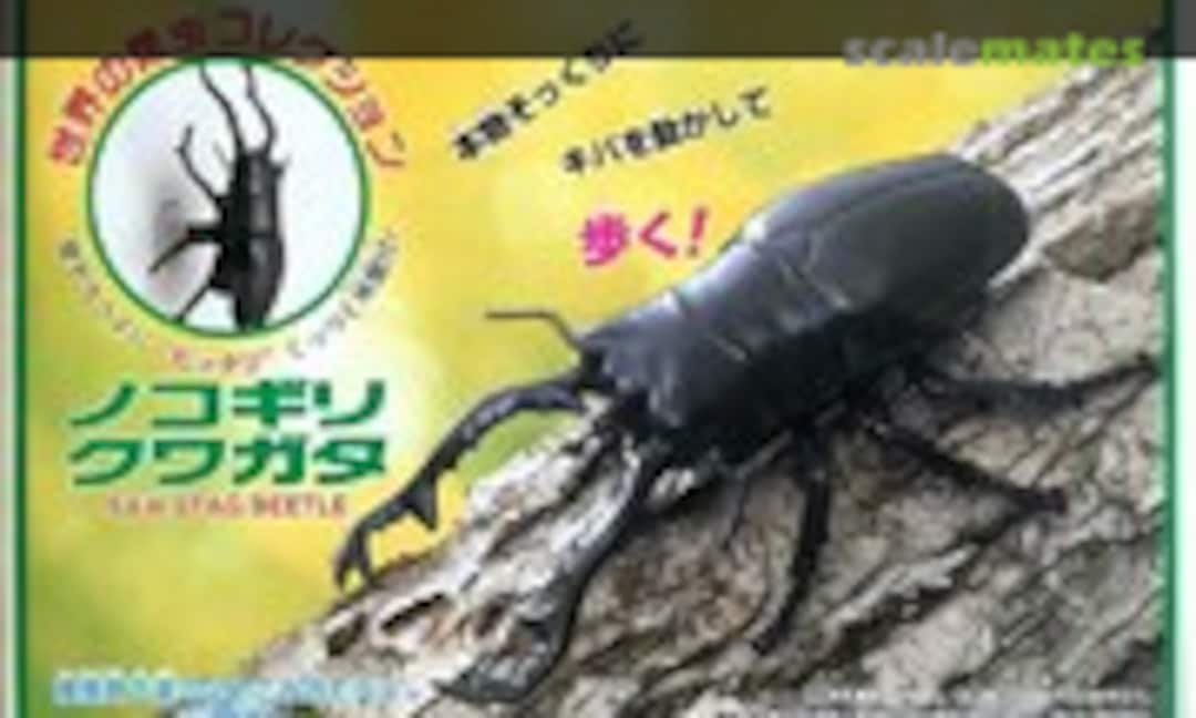No Saw Stag Beetle (IMAI B-2453-500)