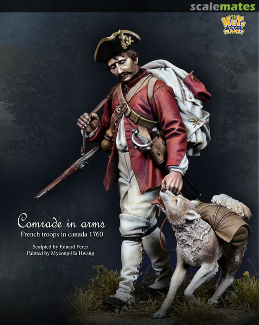 Boxart Comrade in arms - French troops in Canada 1760 NP-75001 NuTs PLANET Boxart Comrade in arms - French troops in Canada 1760 NP-75001 NuTs PLANET