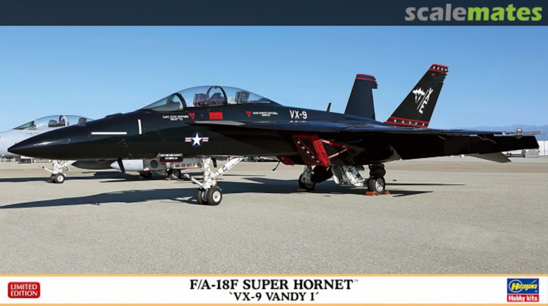 Boxart F/A-18F Super Hornet 02447 Hasegawa Boxart F/A-18F Super Hornet 02447 Hasegawa