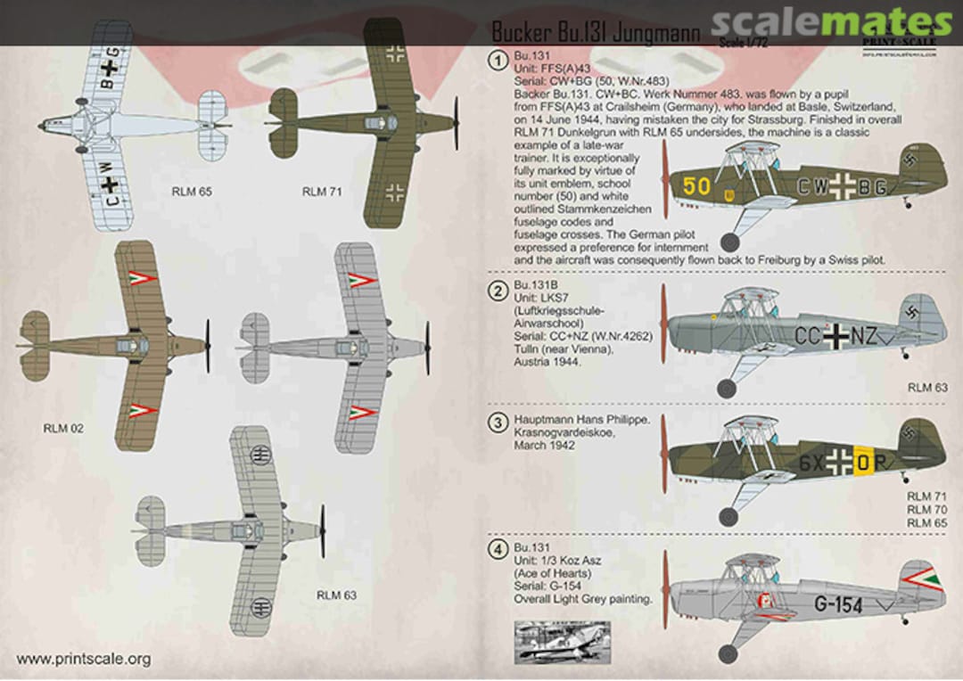 Boxart Bucker Bu.131 Jungmann 72-350 Print Scale