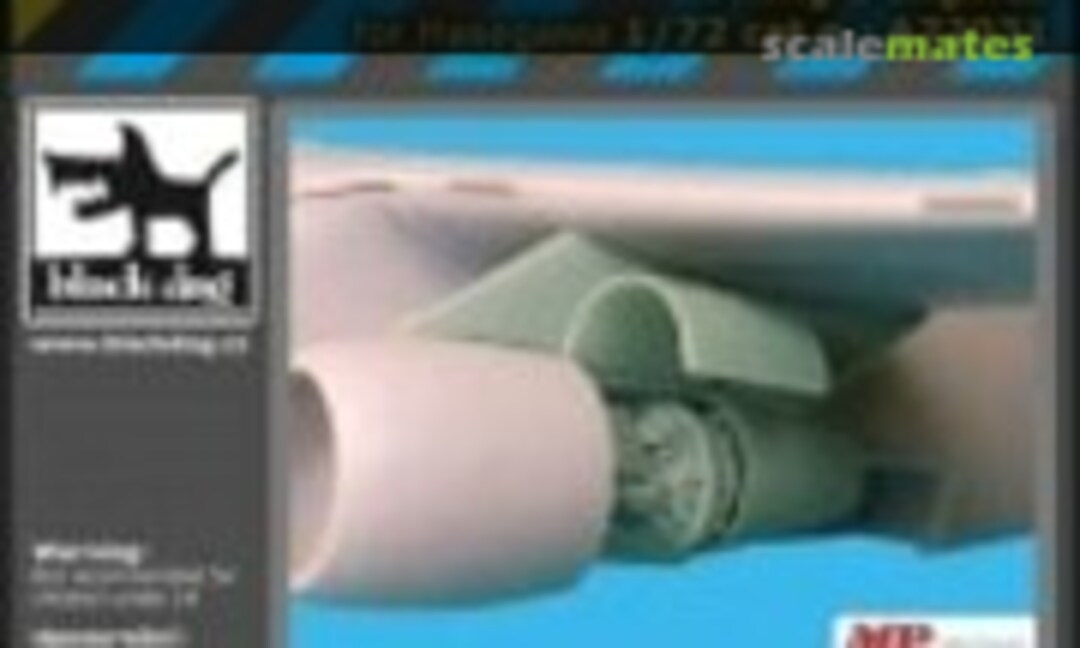 1:72 Viking 2 engines (Black Dog A72031) A72031