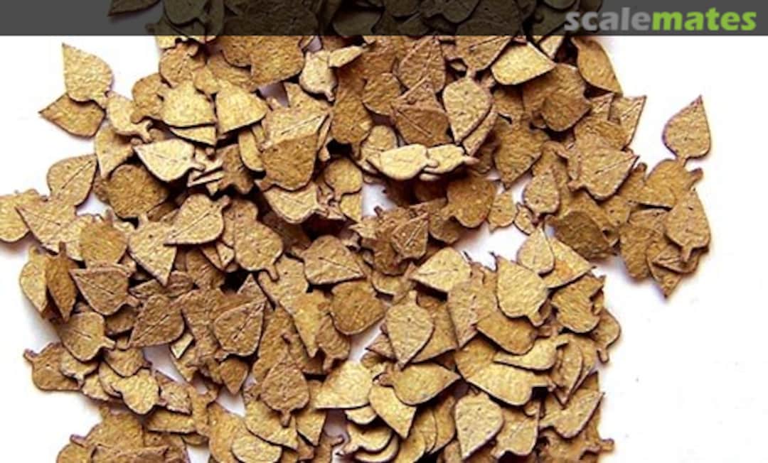 Boxart Leaves birch 282 PlusModel