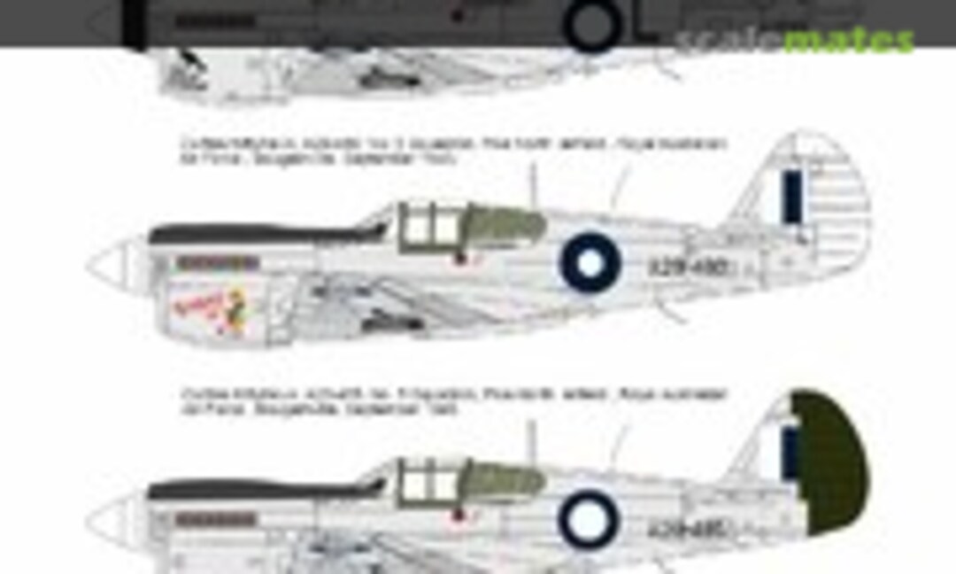1:48 Curtiss Kittyhawk Mk.III (ASK 200-D48009) 200-D48009