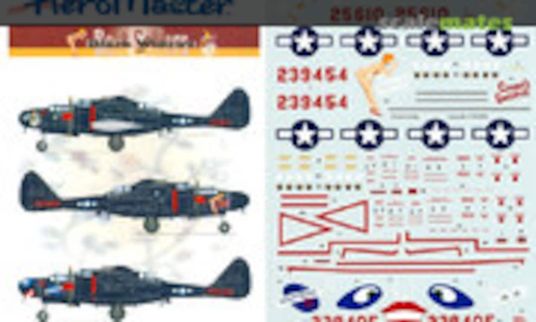 1:48 Black Widows (AeroMaster 48-628) 48-628