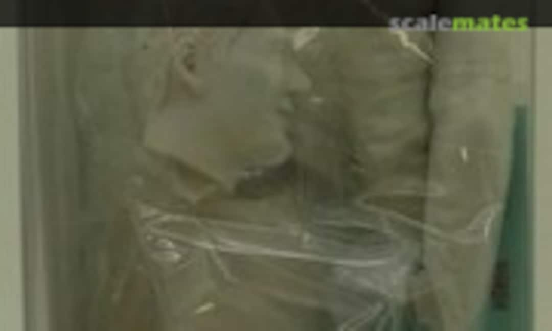 1:12 Driver Type N. Mansell (Dive Nine R012-0003) R012-0003