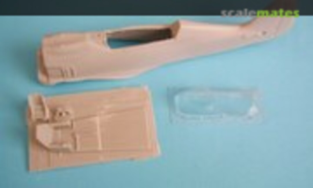 1:48 Focke Wulf fw190 s-8 two seat conversion (Heritage Aviation Models )