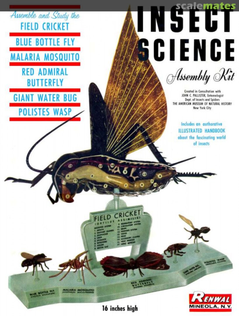 Boxart Insect Science 801:298 Renwal