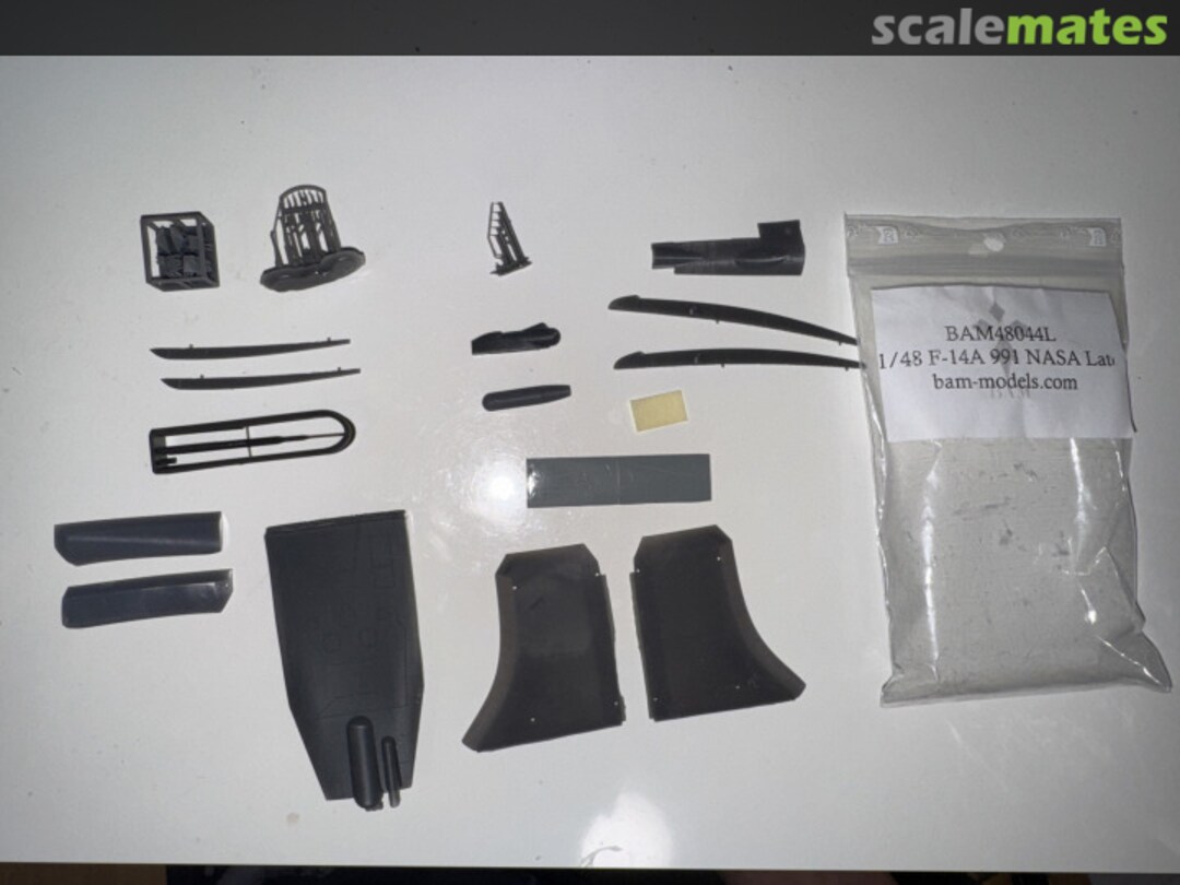 Contents F-14A NASA ARI testbed 991 (BuNo 157991) BAM48044L BAM Models