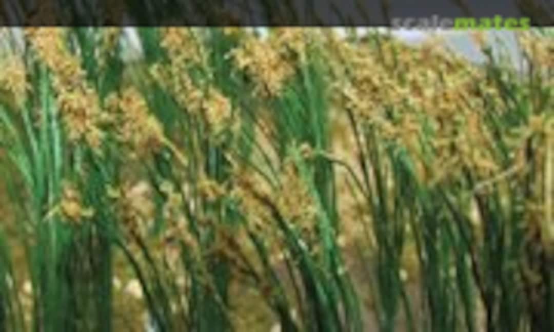 1:48 Reeds (JTT Scenery Products 95635) 95635