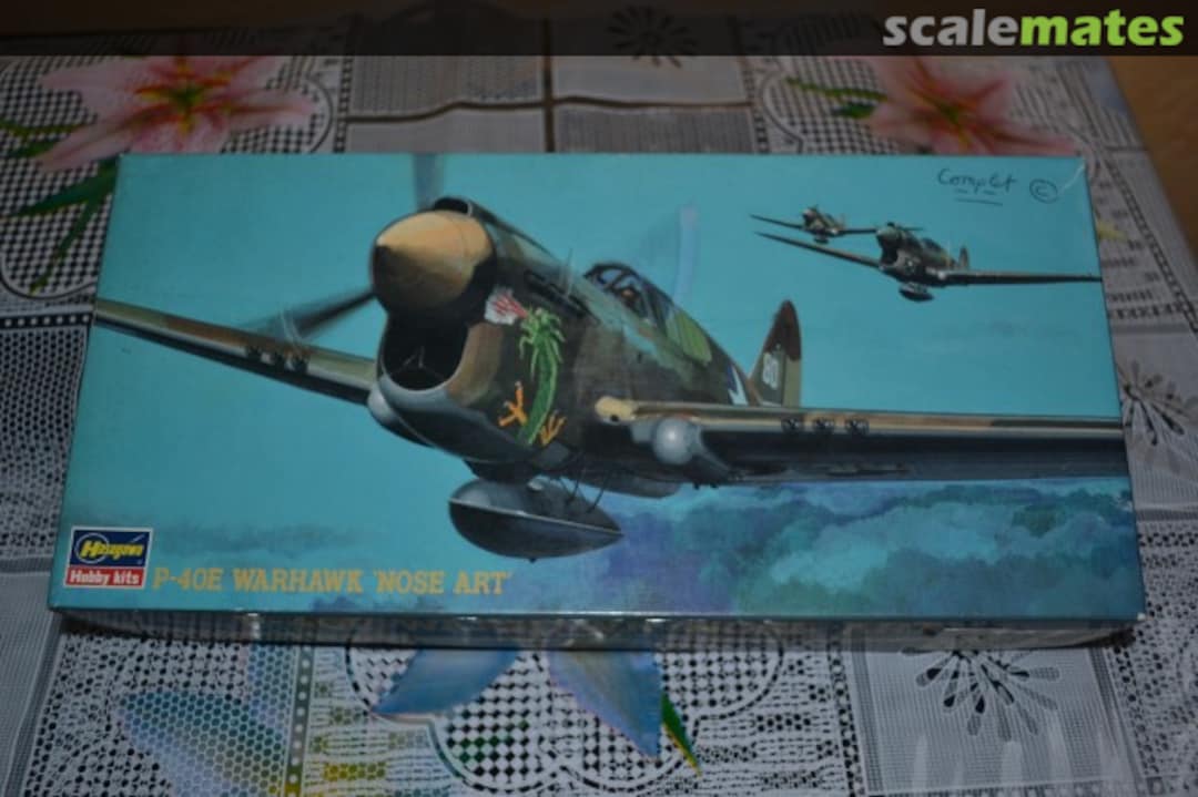 Boxart P-40E Warhawk 'Nose Art' 02561 Hasegawa Boxart P-40E Warhawk 'Nose Art' 02561 Hasegawa