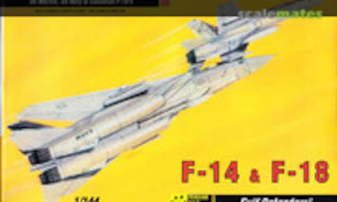 1:144 F-14 &amp; F-18 Gulf Defenders! (Hobbycraft HC1124)