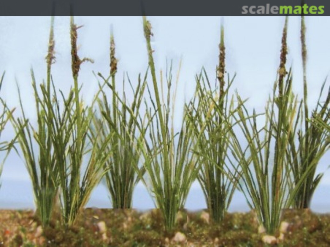 Boxart Dried Cattails 95633 JTT Scenery Products Boxart Dried Cattails 95633 JTT Scenery Products