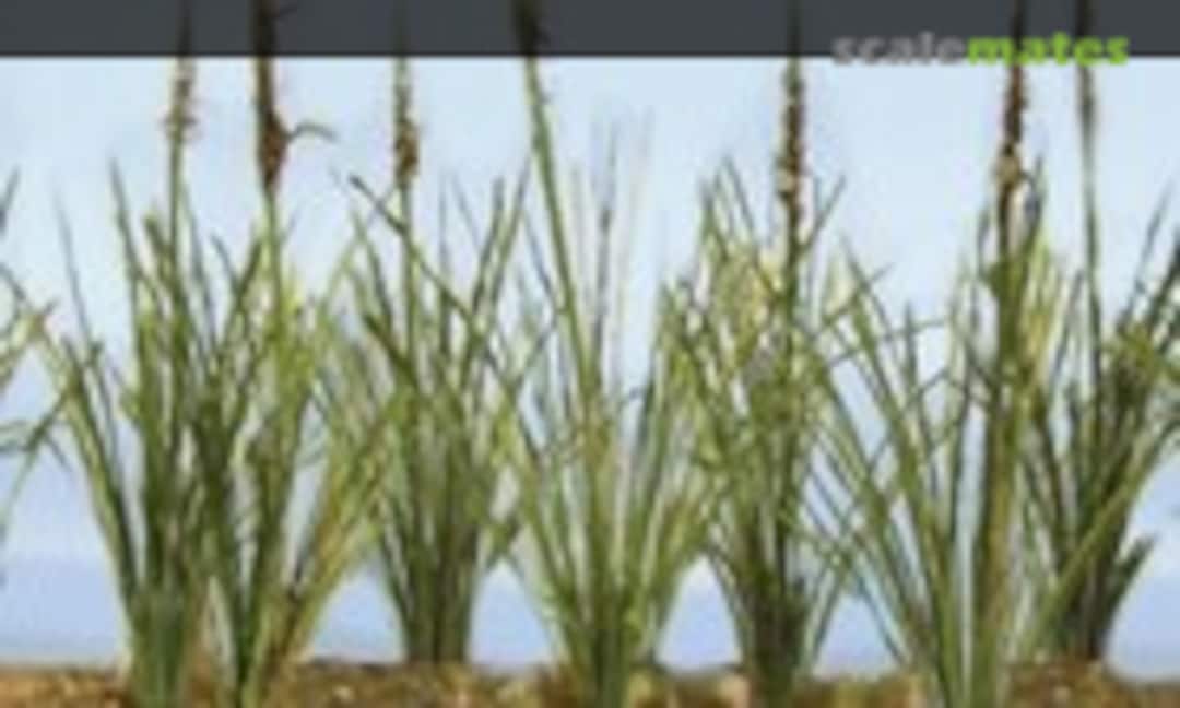 1:48 Dried Cattails (JTT Scenery Products 95634) 95634