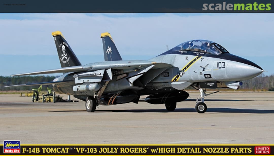Boxart F-14B Tomcat 52199 Hasegawa Boxart F-14B Tomcat 52199 Hasegawa