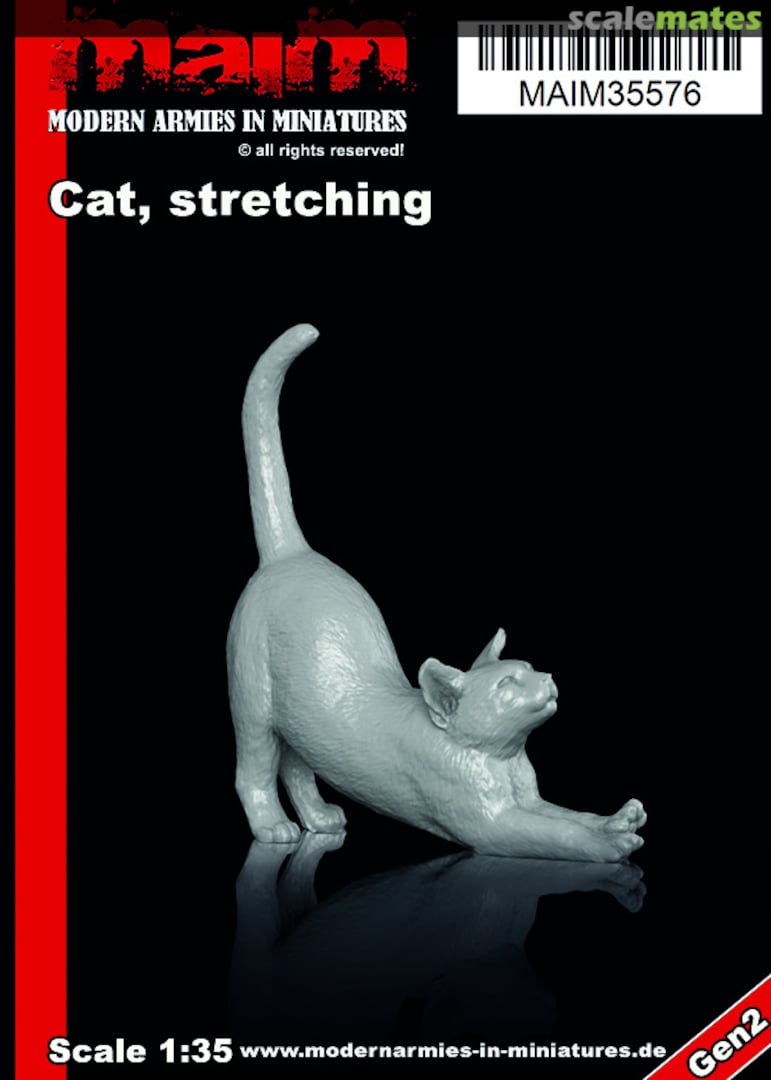 Boxart Cat; stretching MAIM35576 MAiM