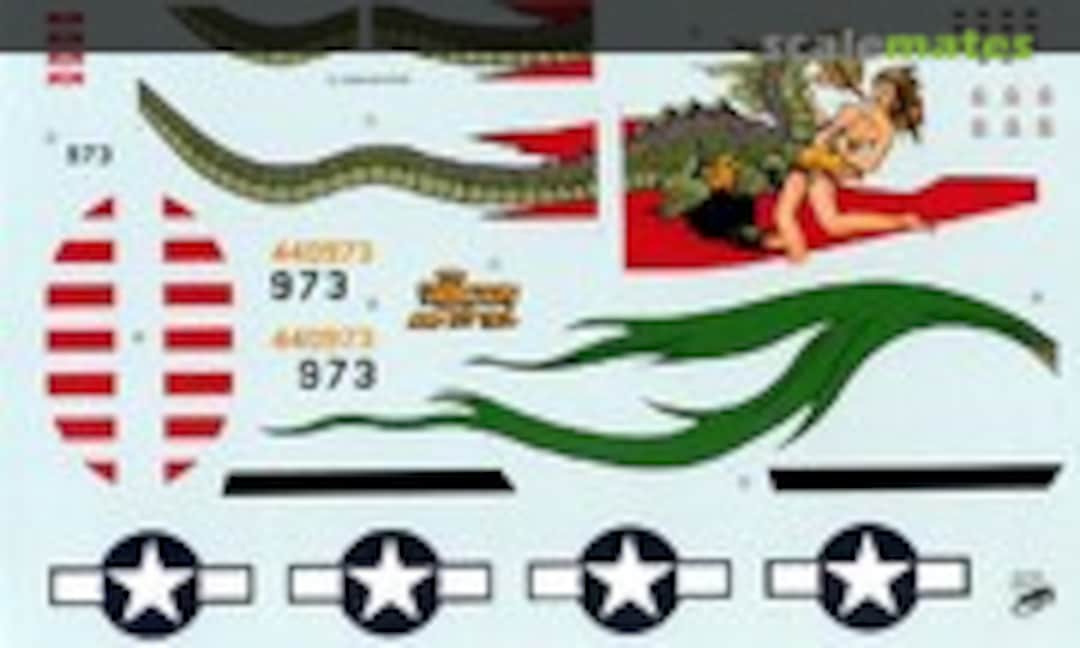 1:48 B-24J 'The Dragon and His Tail' (Mike Grant Decals )