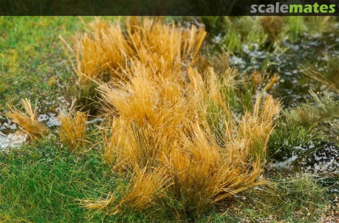 Boxart Reeds 170715 Faller Boxart Reeds 170715 Faller