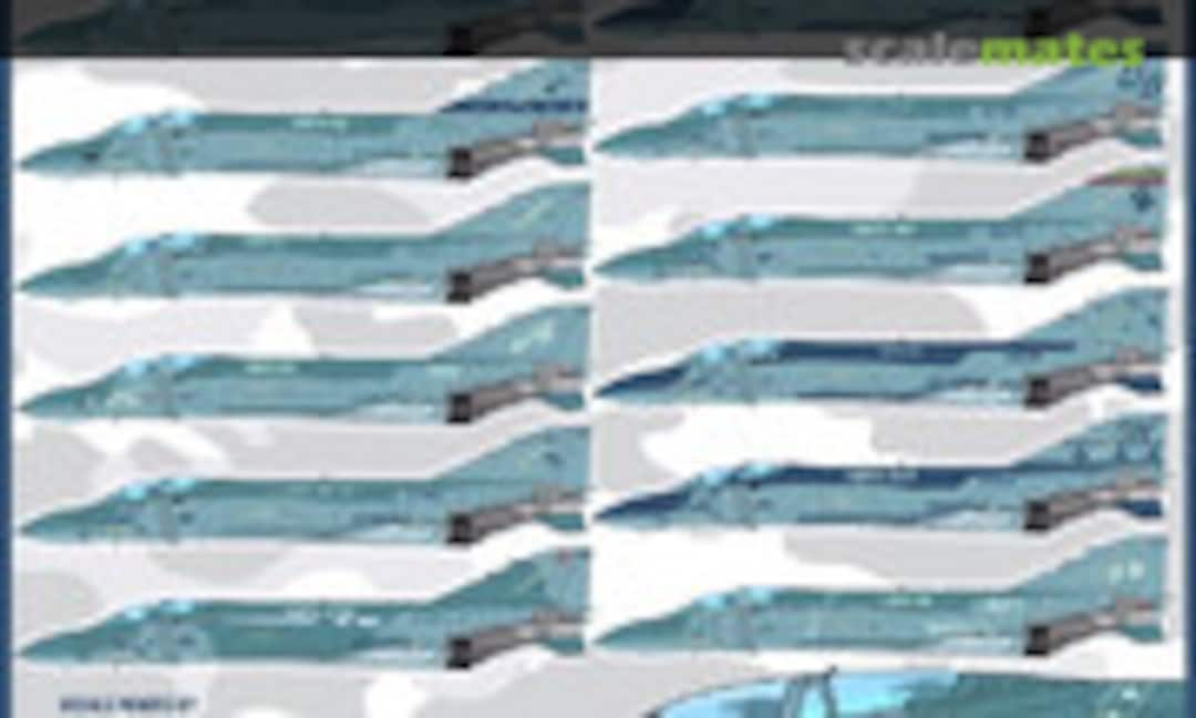 1:48 Lo-Viz Devil Dog Rhinos (Furball Aero-Design 48-063) 48-063