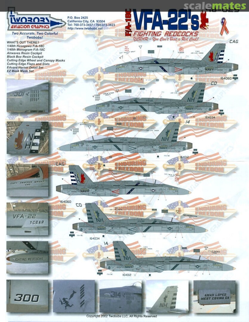 Boxart F/A-18C VFA-22's Fighting Redcocks 48-029 TwoBobs Aviation Graphics