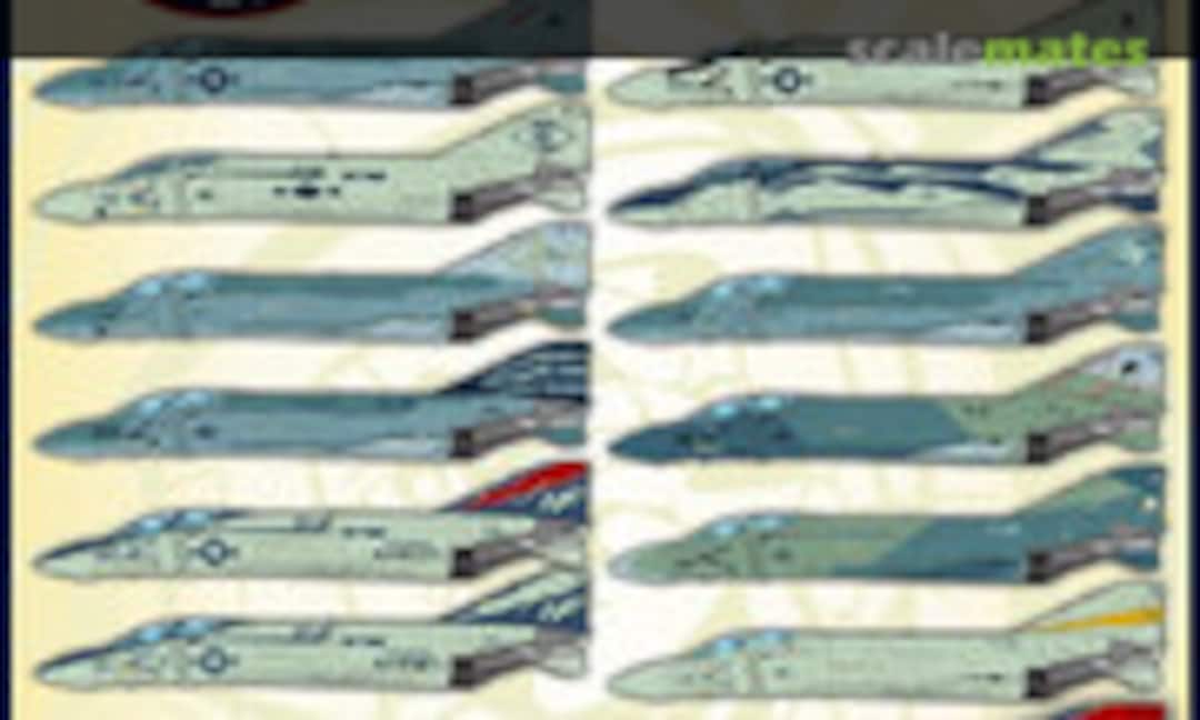 1:48 Lo-Viz US Navy Rhinos (Furball Aero-Design 48-064)