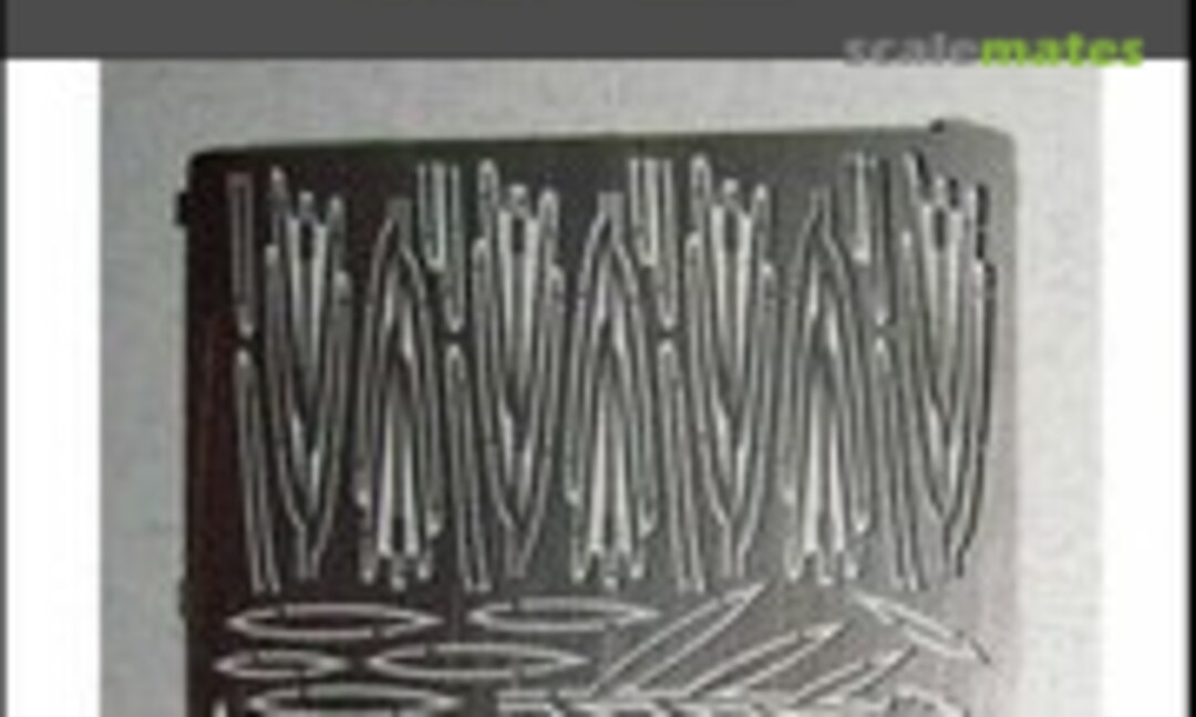1:35 Photoetched Reeds (DANmodels DM35535) DM35535