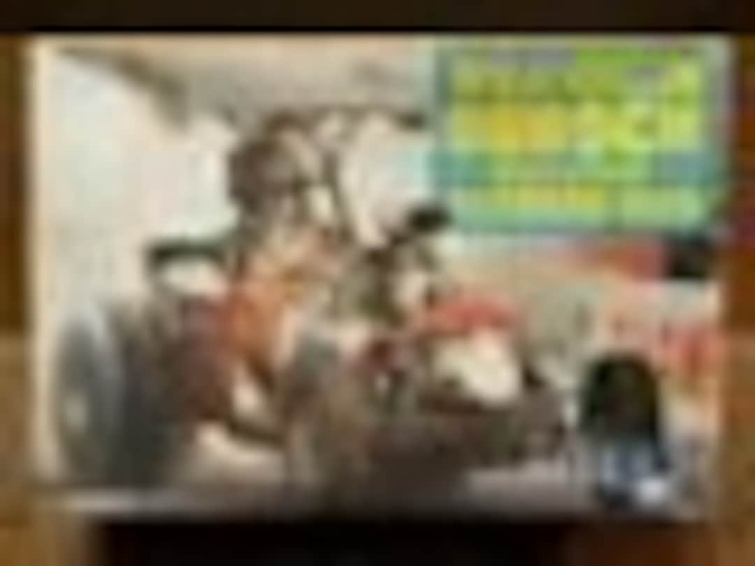 1:25 Wild Willie Borsch Altered Rod (MPC 1-0762-225)