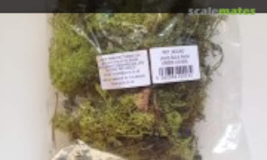 No Green Lichen (Javis JBULKG) JBULKG