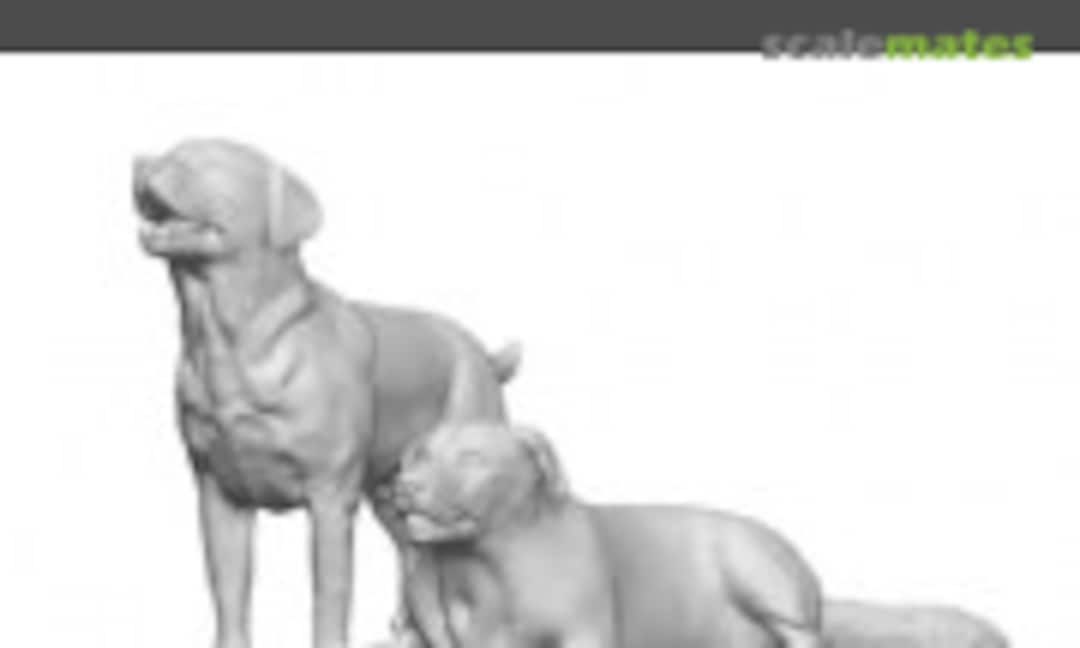 1:24 Labradors x2 (Modelu 31007-024) 31007-024