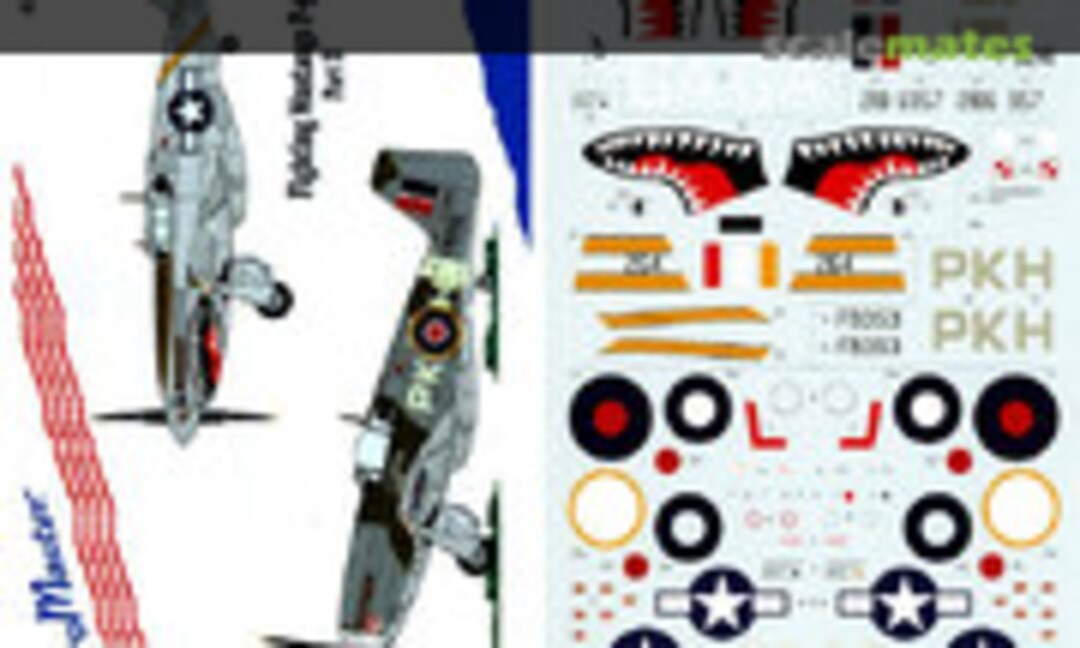 1:48 Fighting Mustangs P-51B/C (AeroMaster 48-212) 48-212