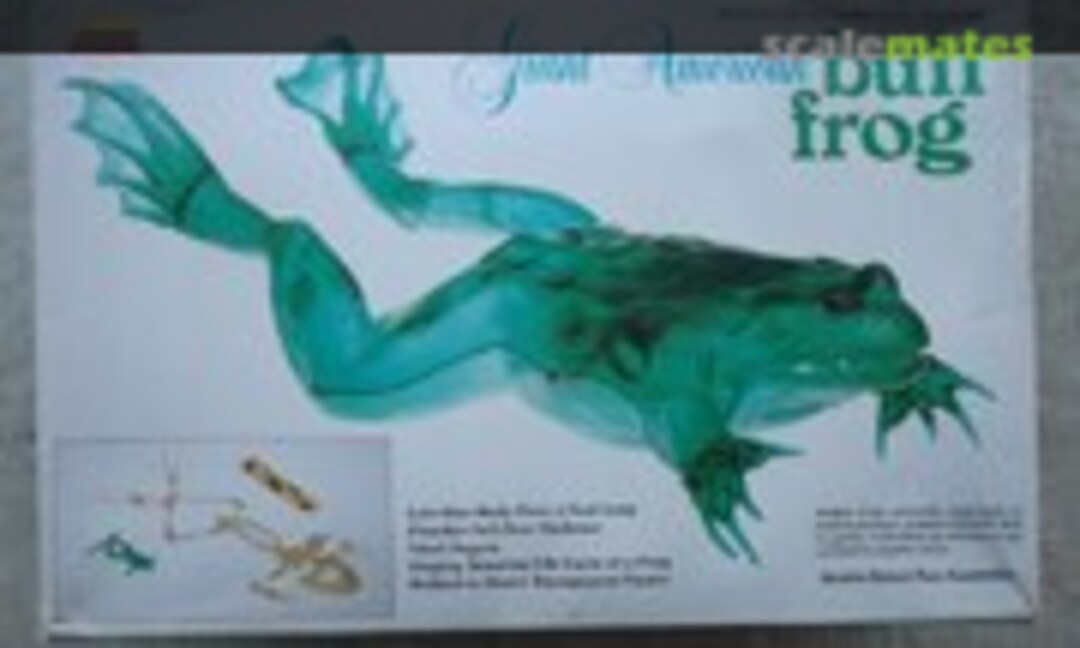 1:1 Giant American Bull Frog (Lindberg 1303)