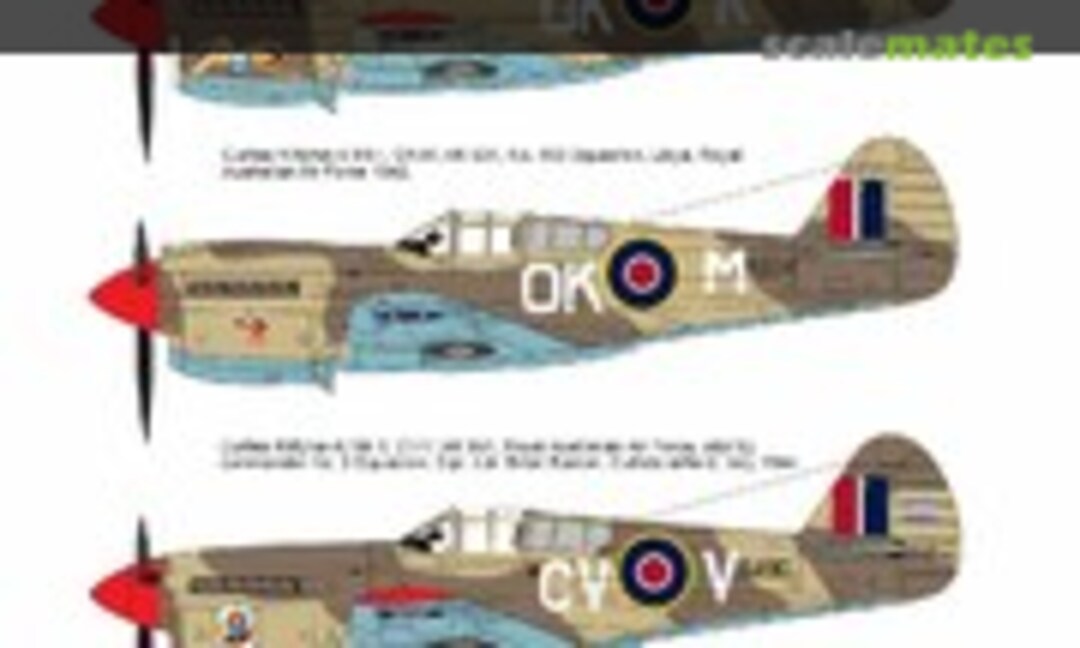 1:48 Curtiss Kittyhawk Mk.I / Mk.II (ASK 200-D48004) 200-D48004