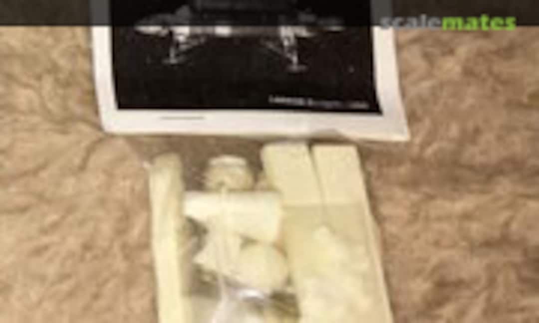 No Swift (Larson Designs 0000000)