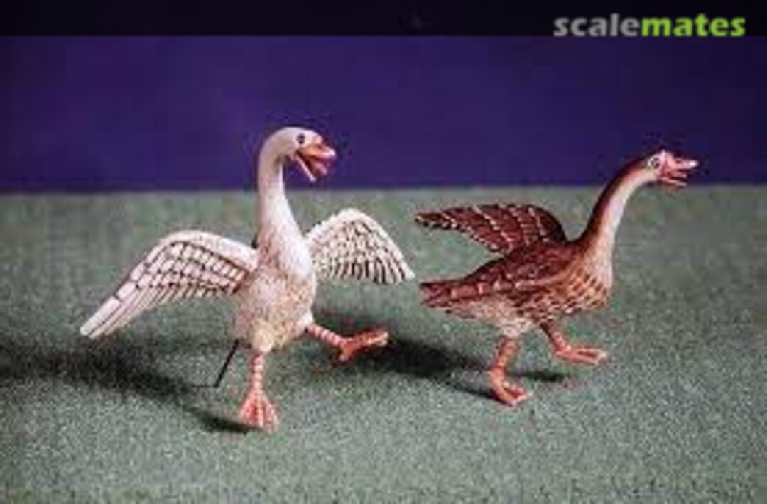 Boxart Scared geese DO35A04 Def.Model