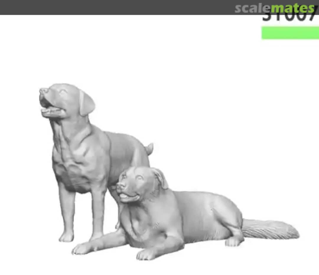 Boxart Labradors x2 31007-076 Modelu Boxart Labradors x2 31007-076 Modelu