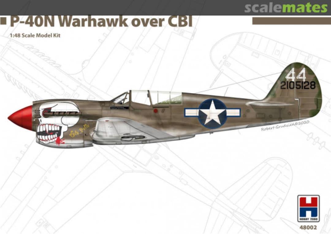 Boxart P-40N Warhawk over CBI 48002 Hobby 2000 Boxart P-40N Warhawk over CBI 48002 Hobby 2000