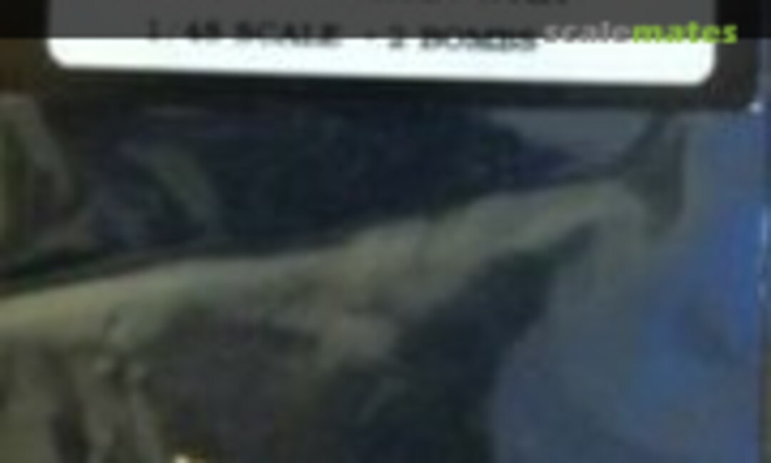 1:48 100 lb. US G.P. Bomb (True Details 48501) 48501