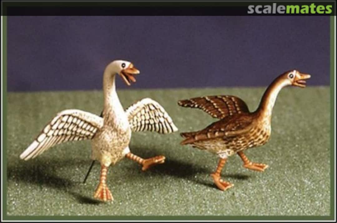 Boxart Scared Goose 35A04 Doug´s Original Boxart Scared Goose 35A04 Doug´s Original