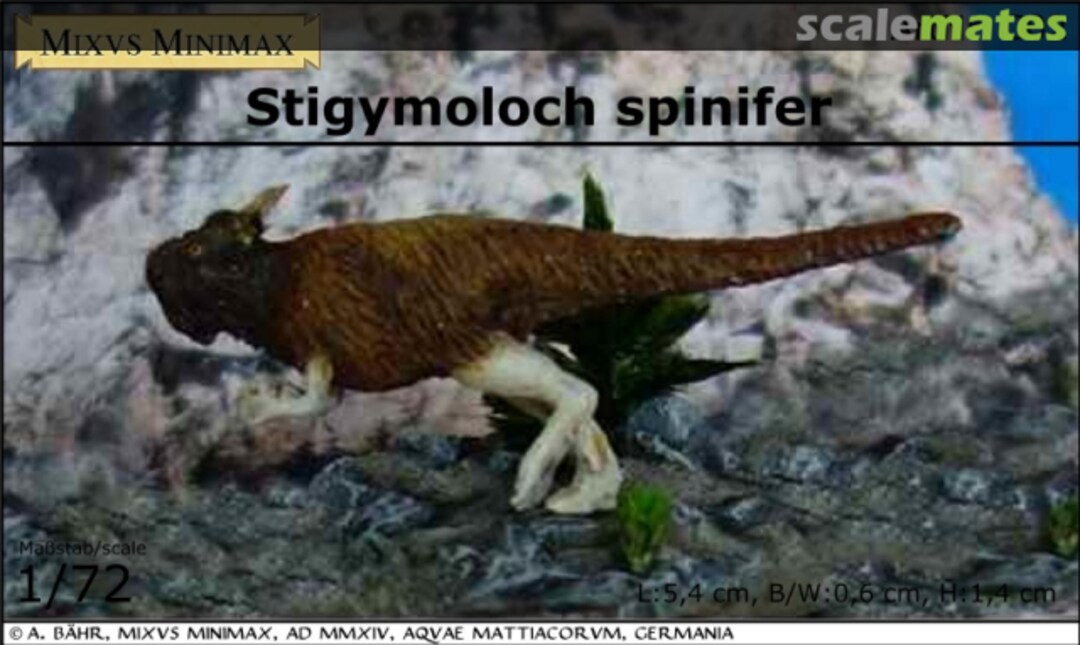 Boxart Stigymoloch spinifer C02 Mixvs Minimax Boxart Stigymoloch spinifer C02 Mixvs Minimax