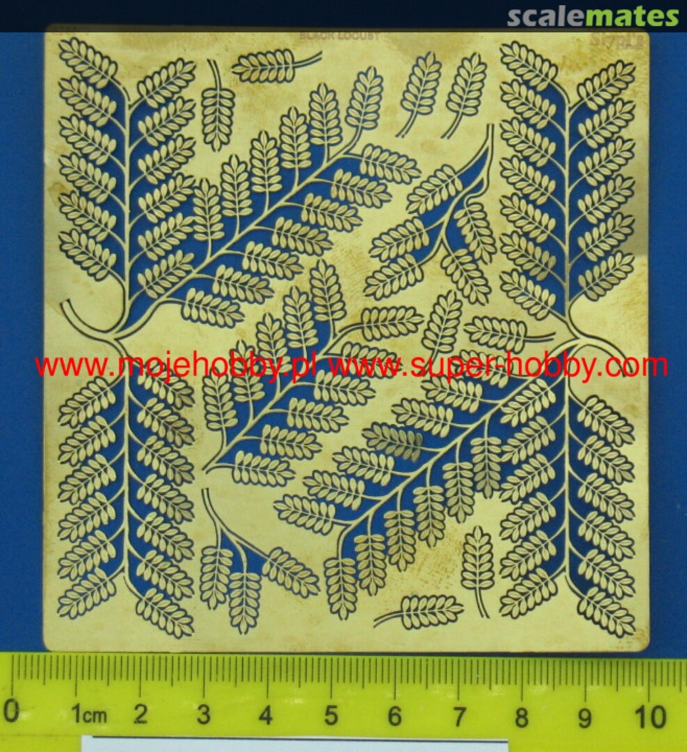 Contents Black locust SD3510 Slypi's Details Contents Black locust SD3510 Slypi's Details