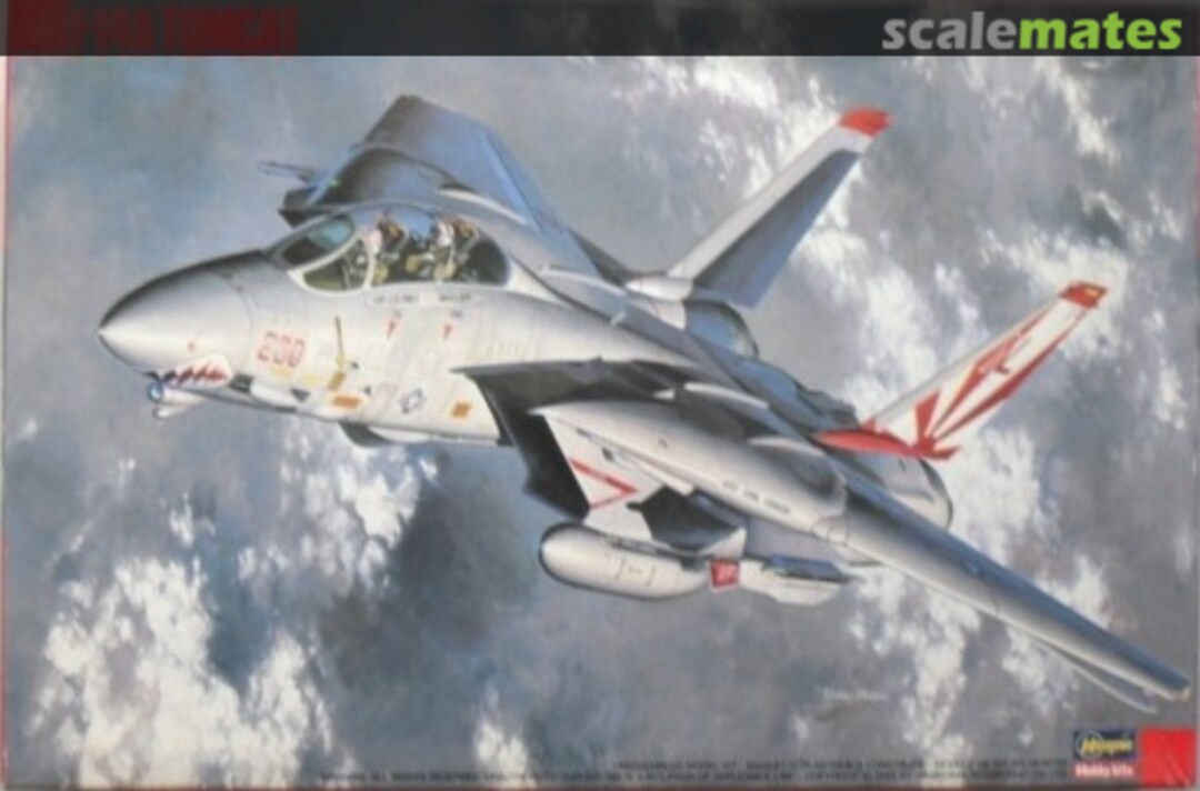 Boxart F-14A Tomcat 52613 (SL13) Hasegawa Boxart F-14A Tomcat 52613 (SL13) Hasegawa