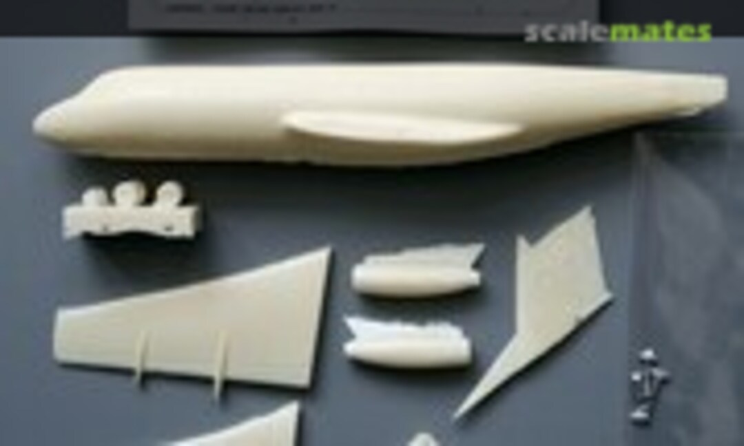 1:144 Fokker F-28-1000 (LGW Miniatures LGWF281000)