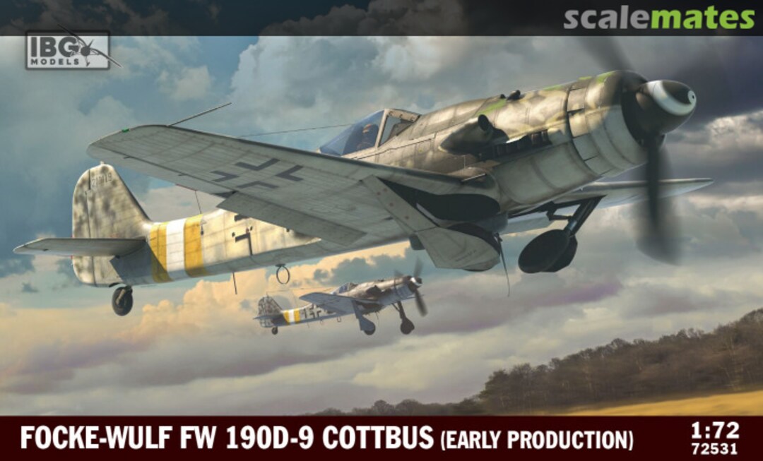 Boxart Focke-Wulf Fw 190D-9 72531 IBG Models Boxart Focke-Wulf Fw 190D-9 72531 IBG Models