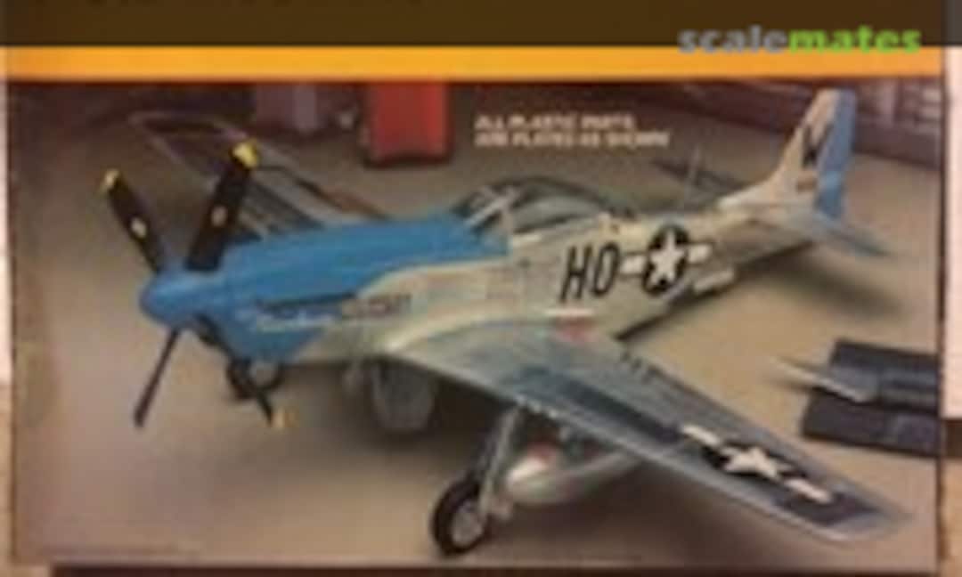 1:48 P-51D Mustang (Testors 208)