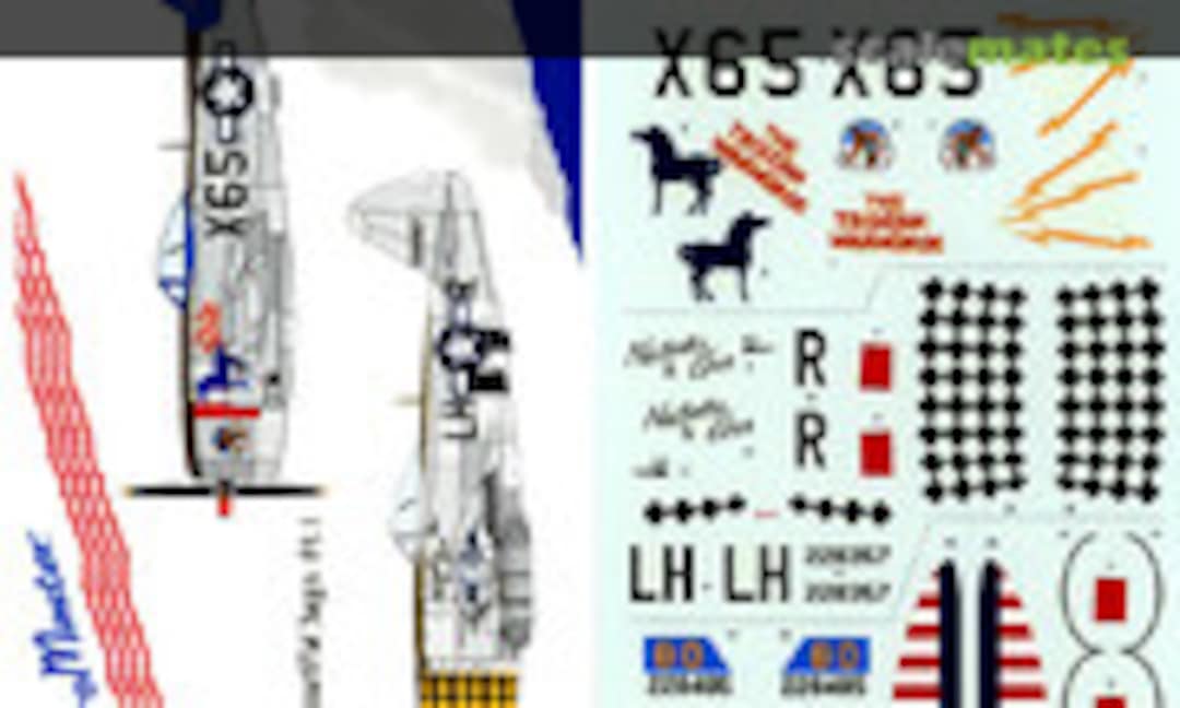 1:48 Big Beautiful Jugs Pt. I (AeroMaster 48-275) 48-275