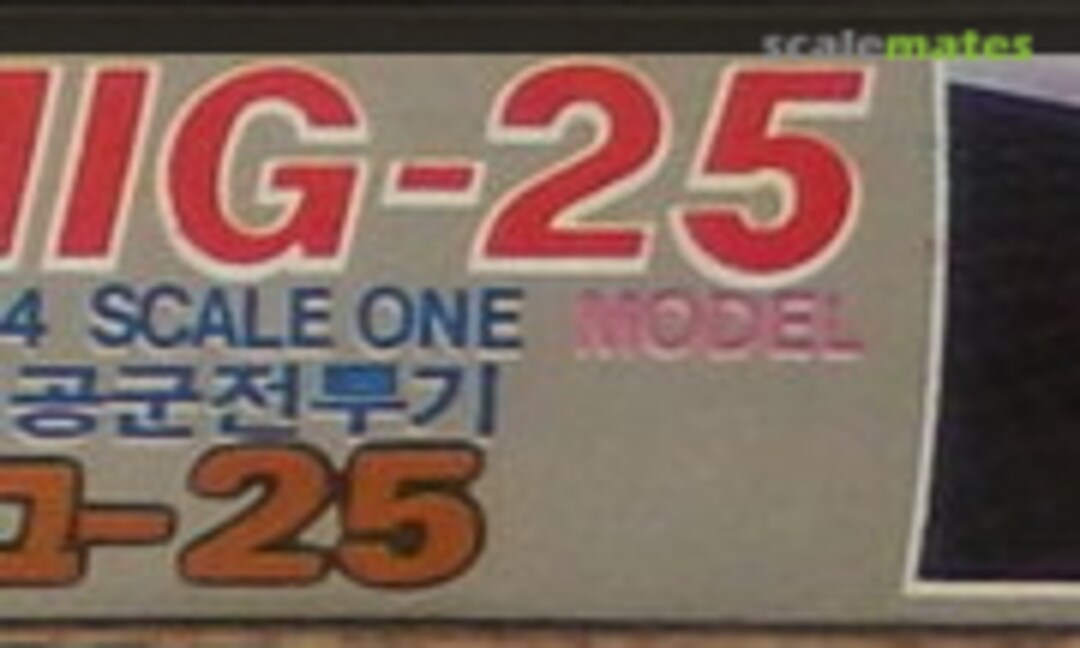 1:144 Mig-25 (Idea AP 080-300)