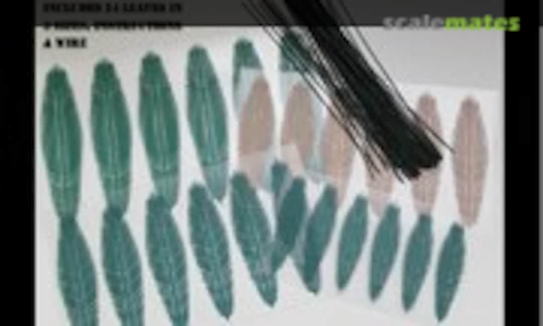 No Palm Leaves (Reality in Scale PLM17) PLM17