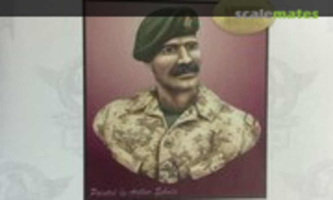 1:9 Canadian (PPCLI) Infantryman in Afghanistan 2006 (DioArt 259) 259