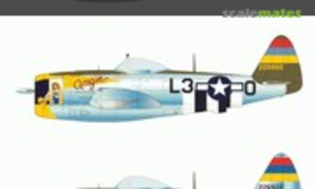 1:48 P-47 Thunderbolts Part 2 (Barracuda Studios BC48002)